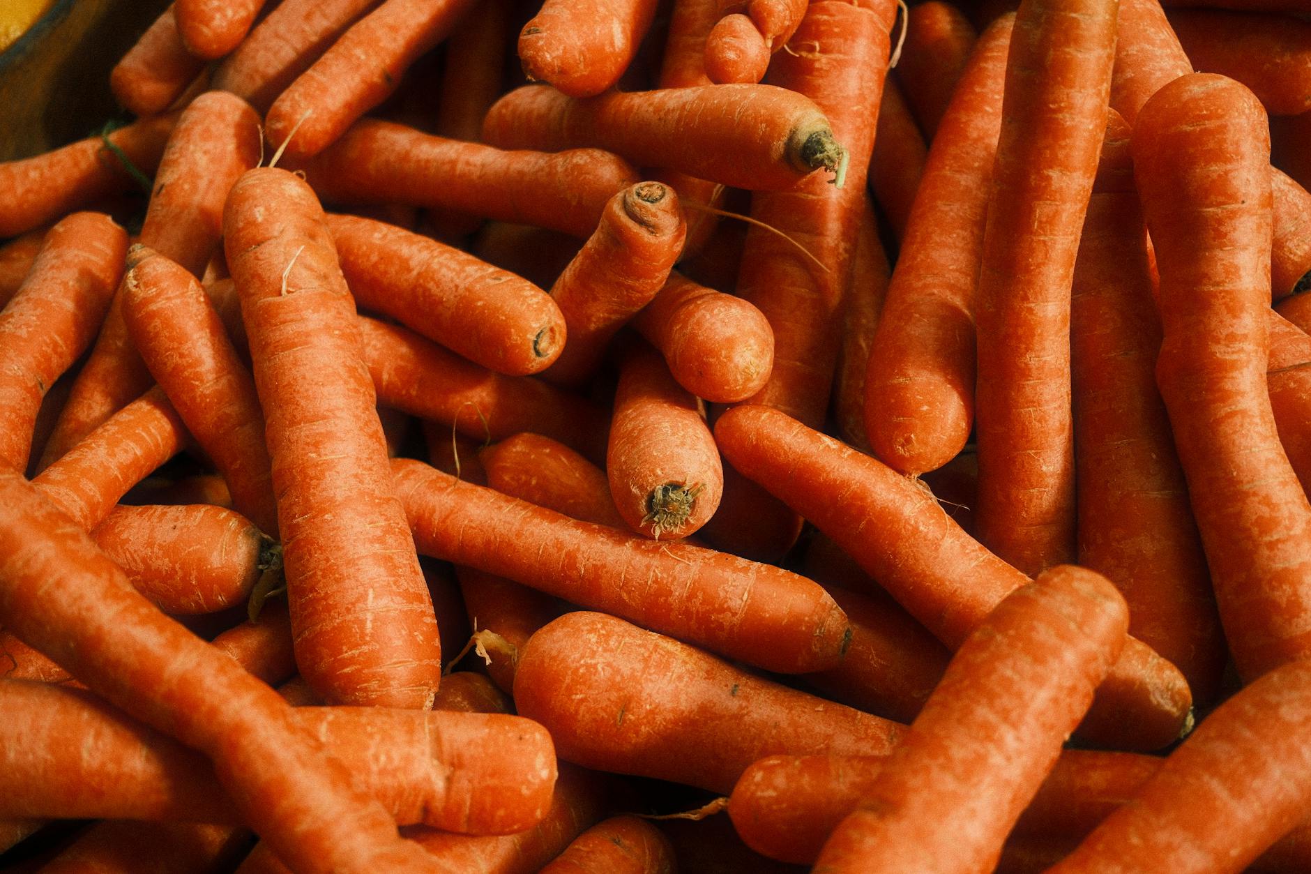 Are Carrots Nutritious for Cats, and Do They Benefit from Eating Them?