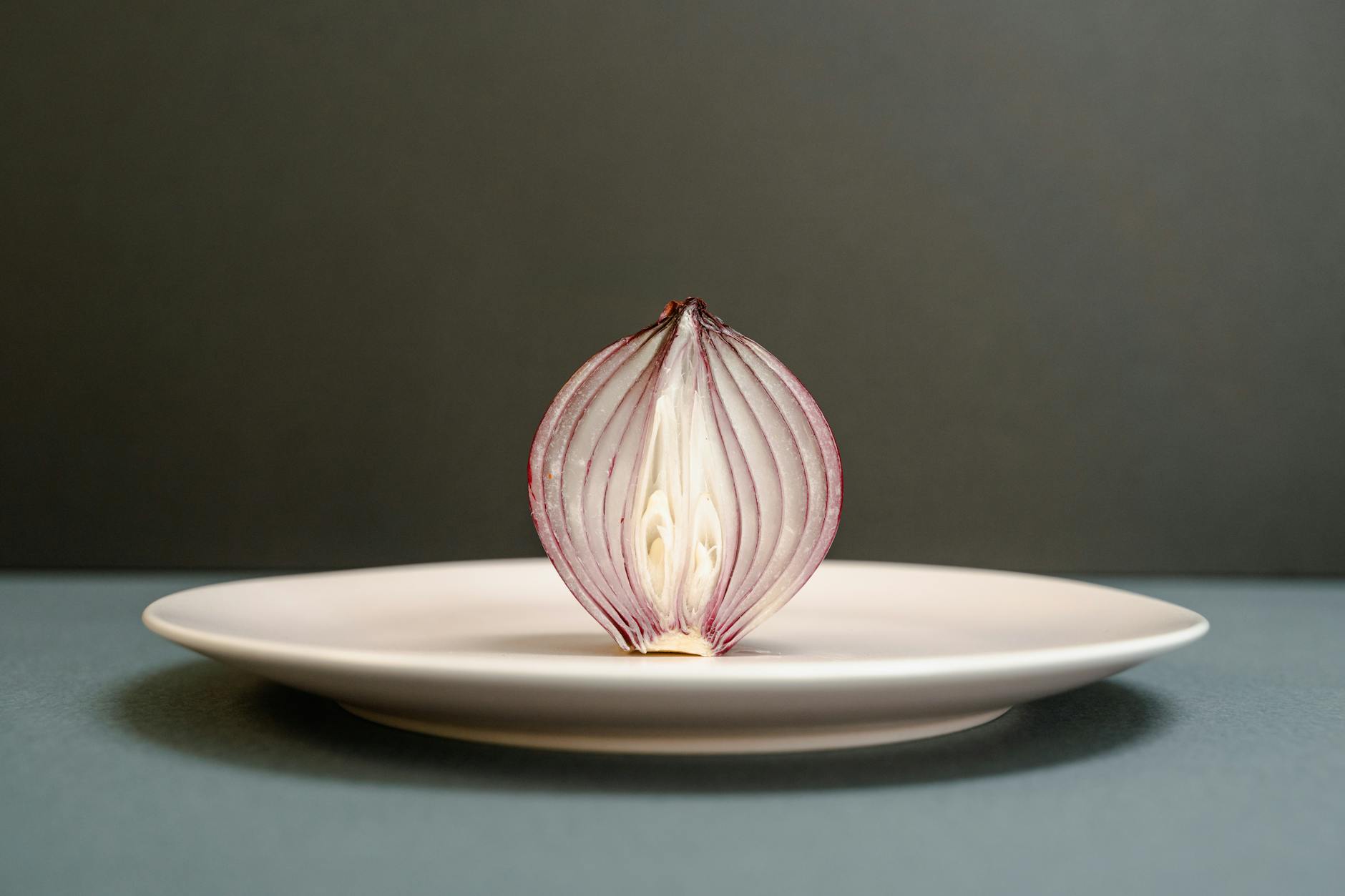 Are Onions Toxic to Cats If Eaten - Featured image
