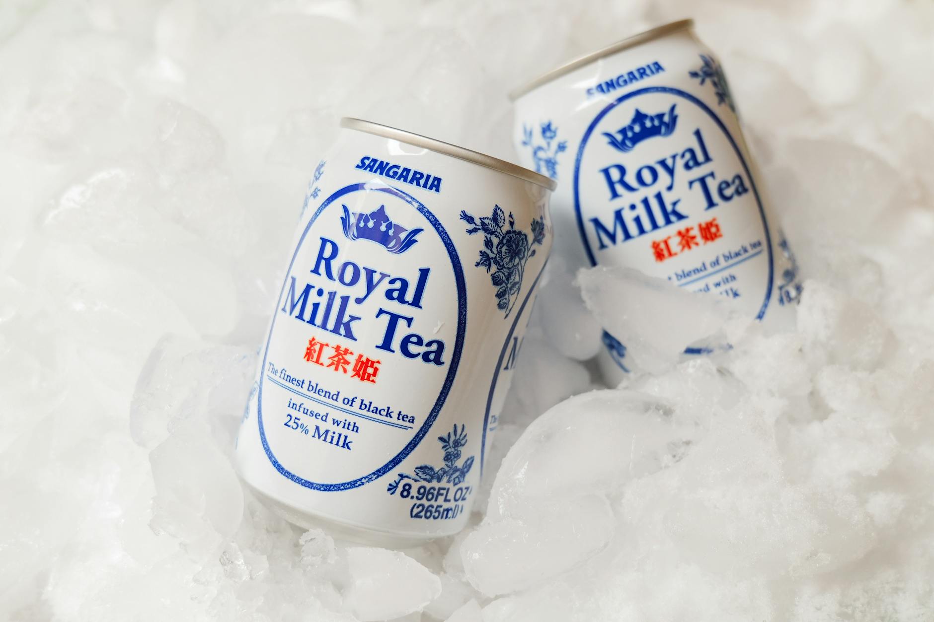Can Cats Drink Milk or Are They Lactose Intolerant - Featured image