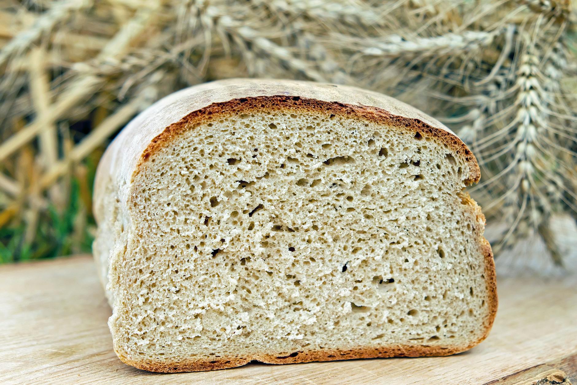 Can Cats Eat Bread Safely - Featured image