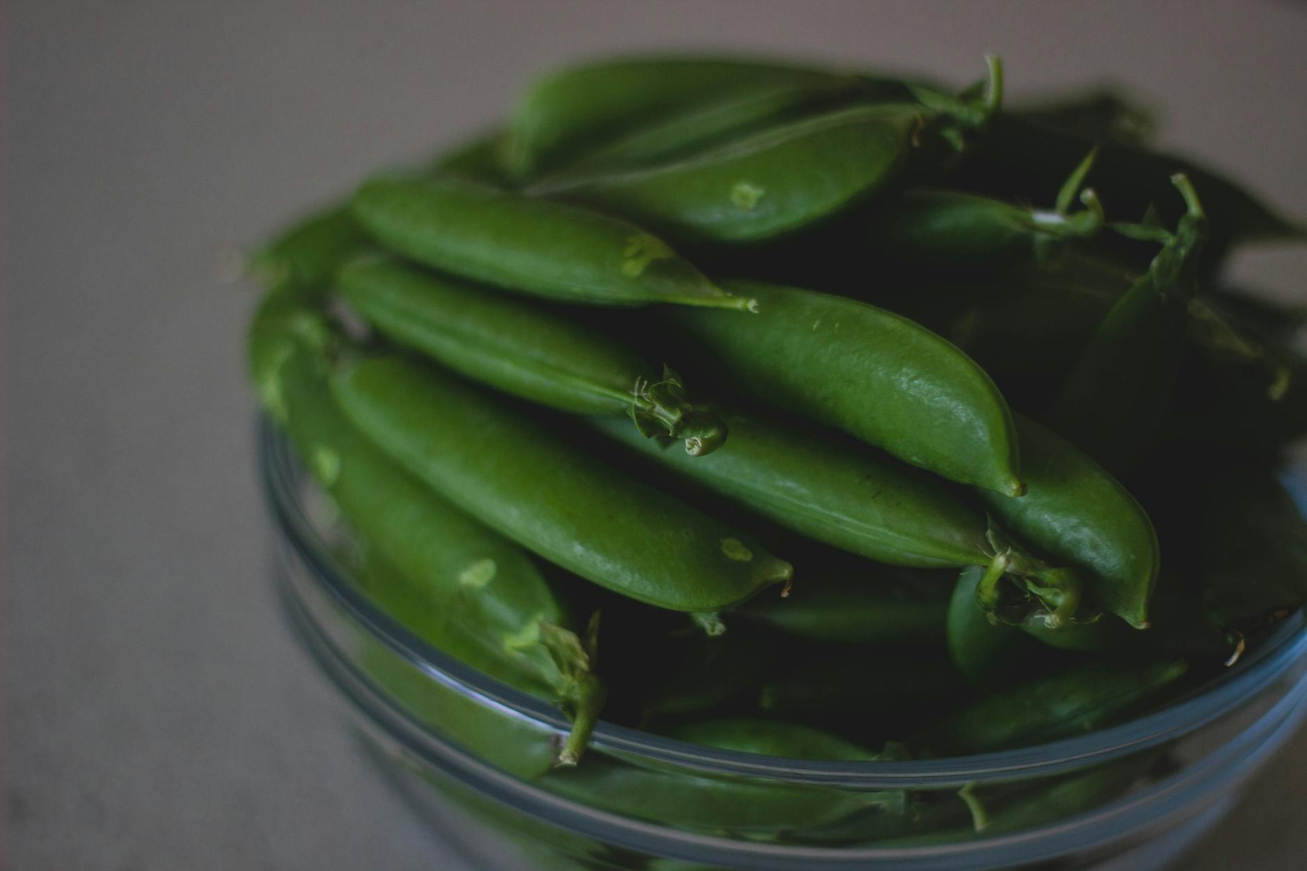 Can Cats Eat Peas Without Digestive Issues - Featured image