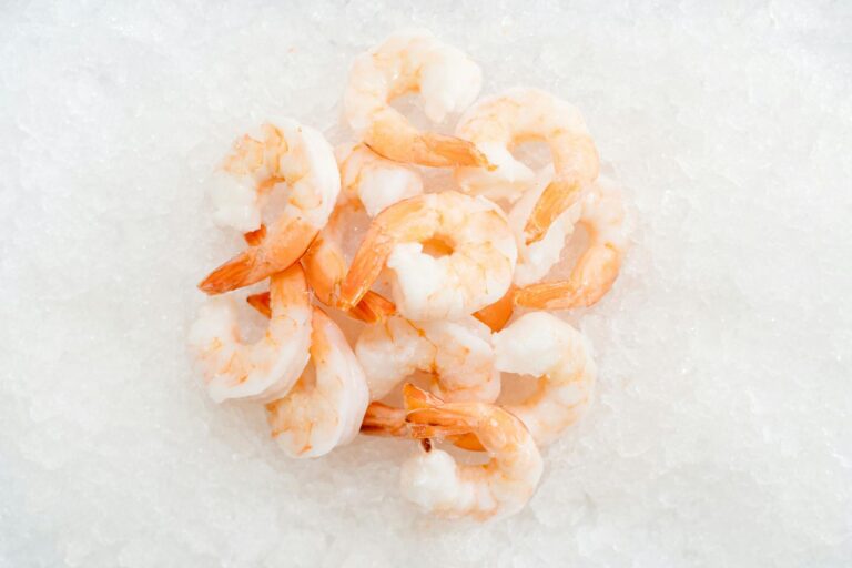 Can Cats Eat Shrimp Safely - Featured image