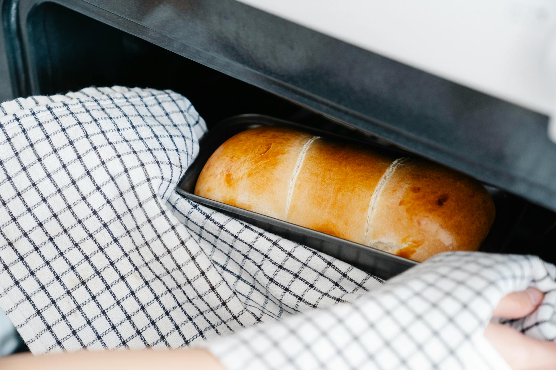 Is Bread Safe for Cats to Eat Regularly?