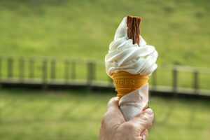 Is Ice Cream Safe for Cats to Eat - Featured image