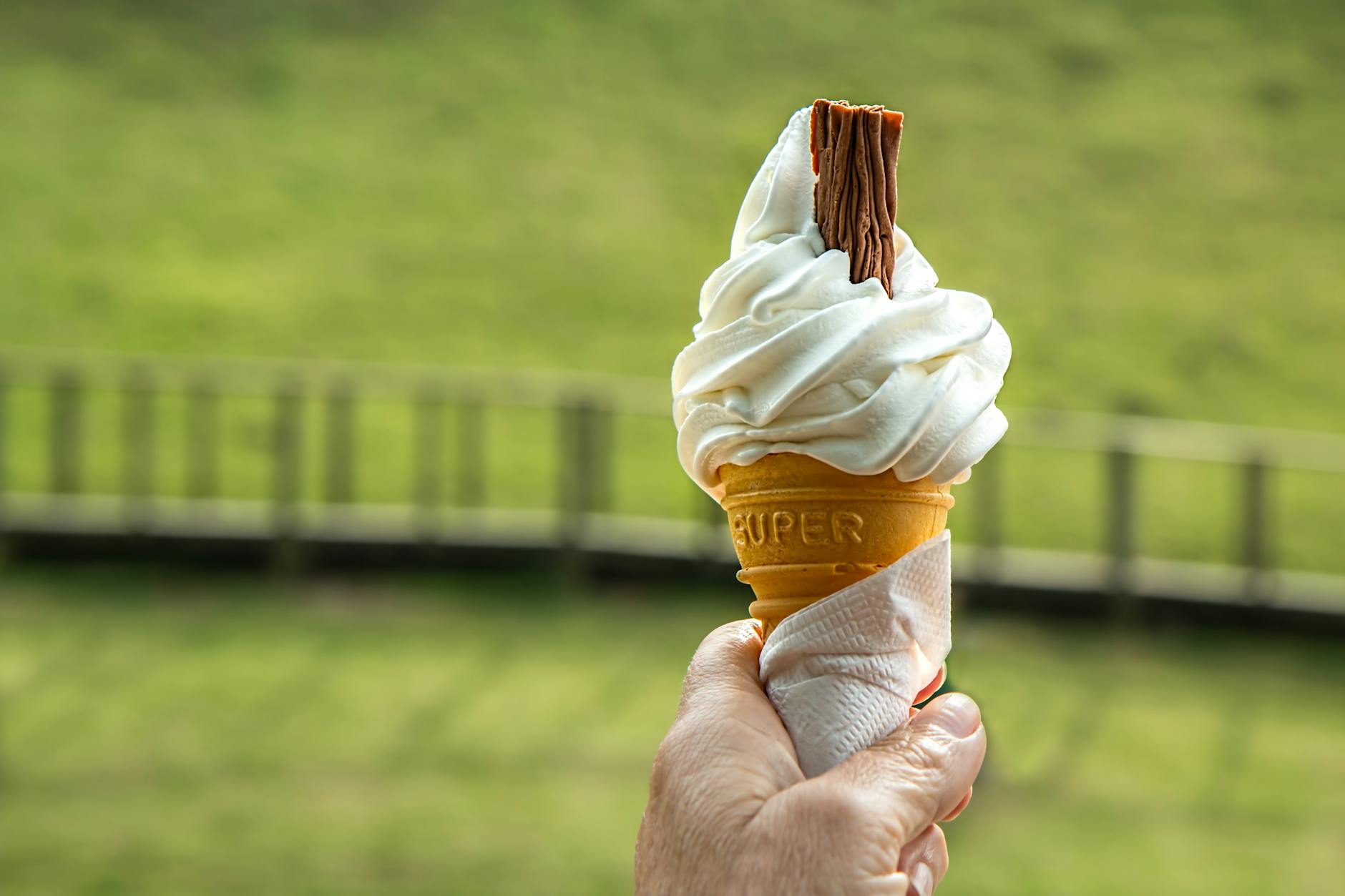 Is Ice Cream Safe for Cats to Eat - Featured image