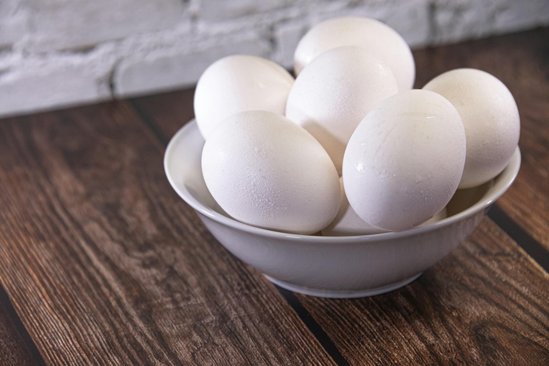 Is It Safe for Cats to Eat Eggs - Featured image