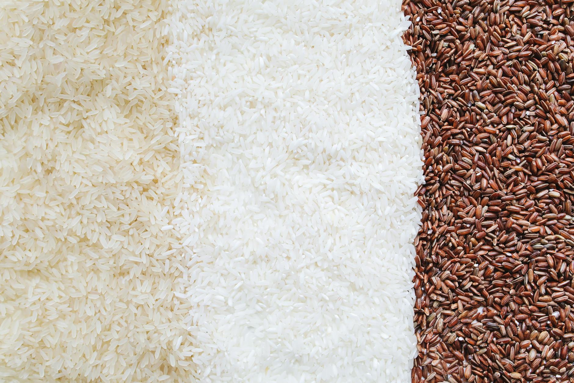 Is Rice a Safe Food for Cats to Consume?