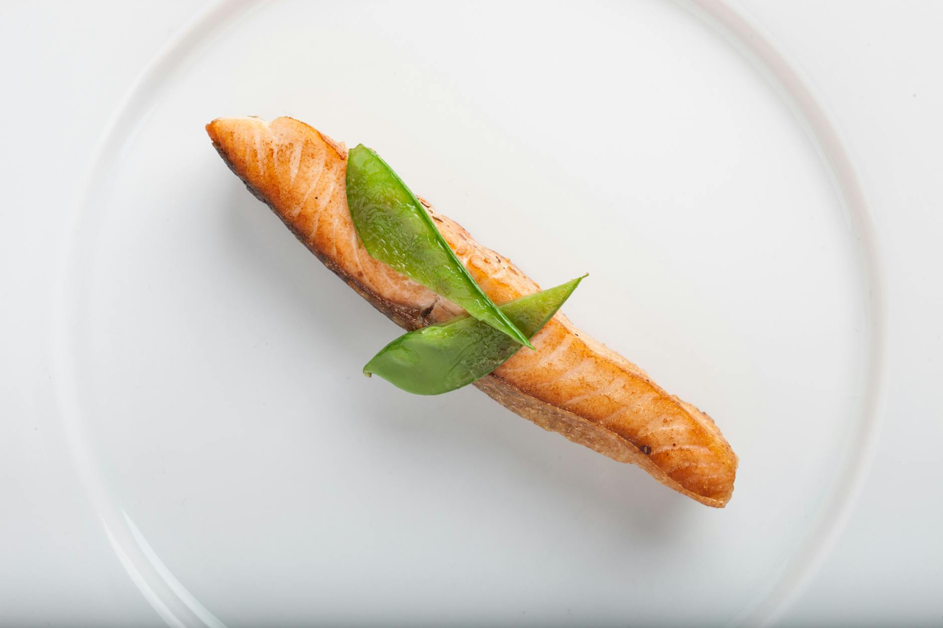 Is Salmon Safe for Cats to Eat - Featured image