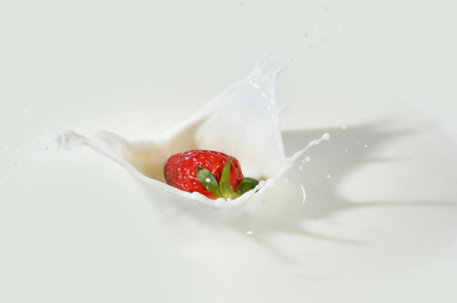 What Are the Signs of Lactose Intolerance in Cats?