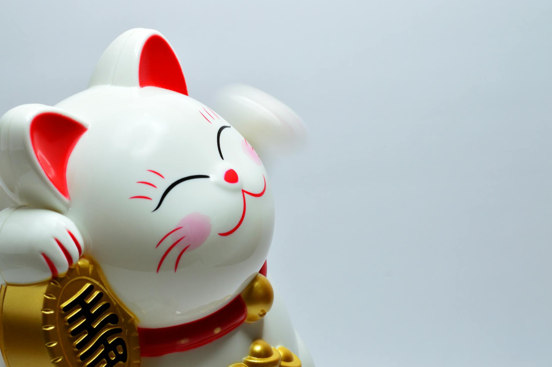 What Happens If My Cat Eats Chinese Food?