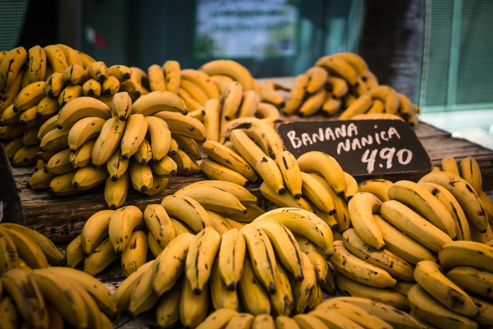 Which Cats Should Never Eat Bananas?