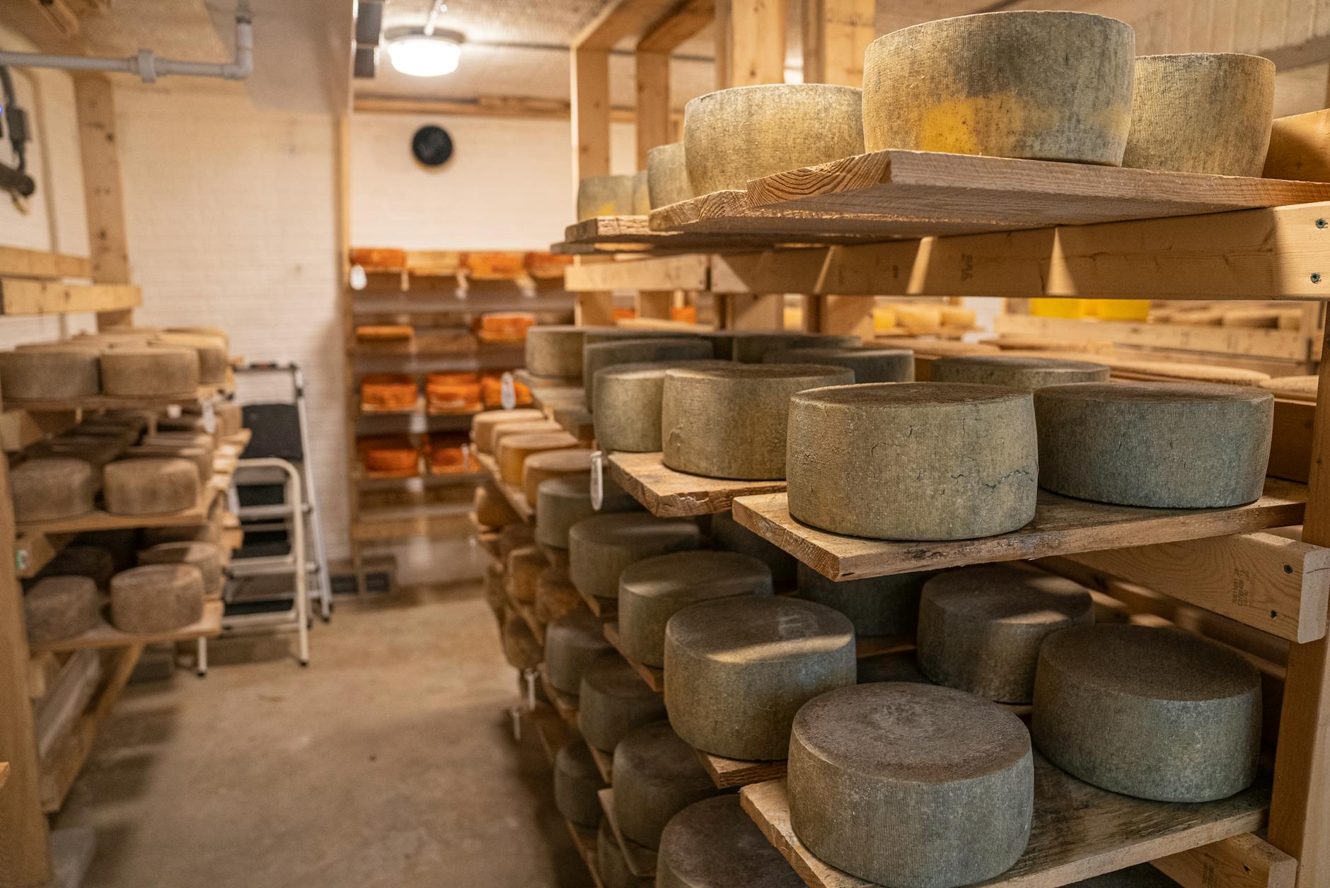 Which Hard Cheeses Are Safest for Cats?