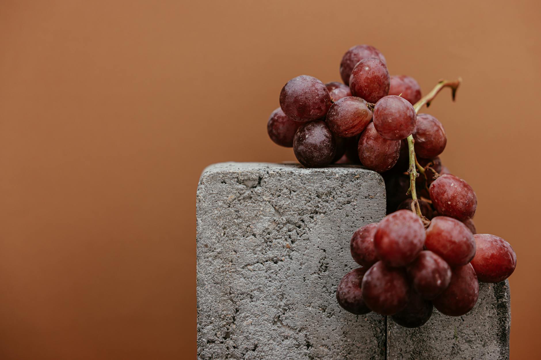 Why Are Grapes and Raisins Dangerous to Cats?
