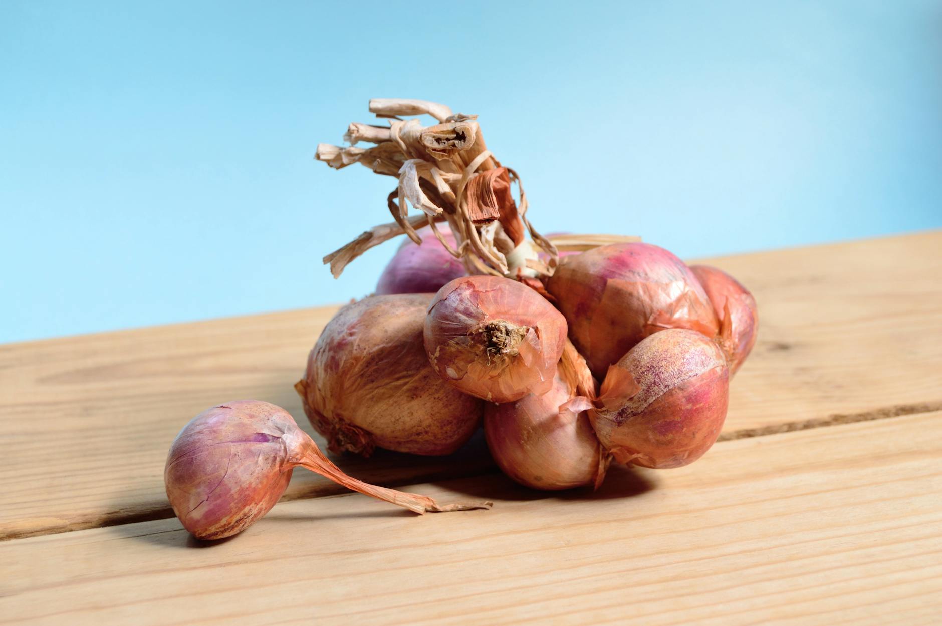 Why Are Onions So Dangerous to Cats?