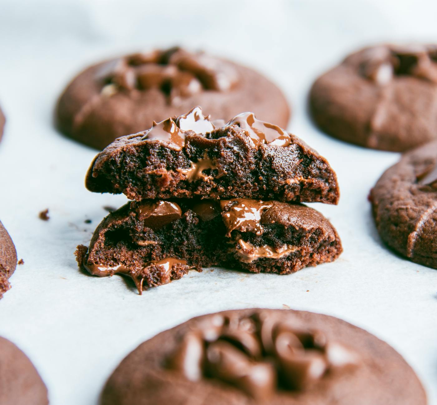 Why Is Chocolate Dangerous for Cats?