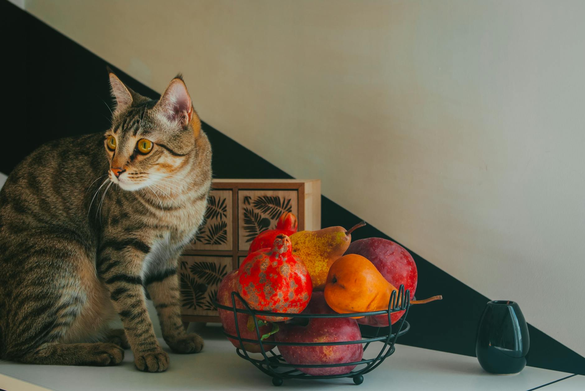 Apple Stems and Leaves — Are They Also a Concern?
