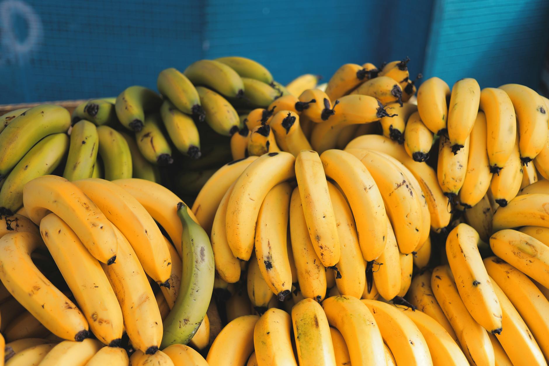 Are Bananas Safe for Cats to Eat?
