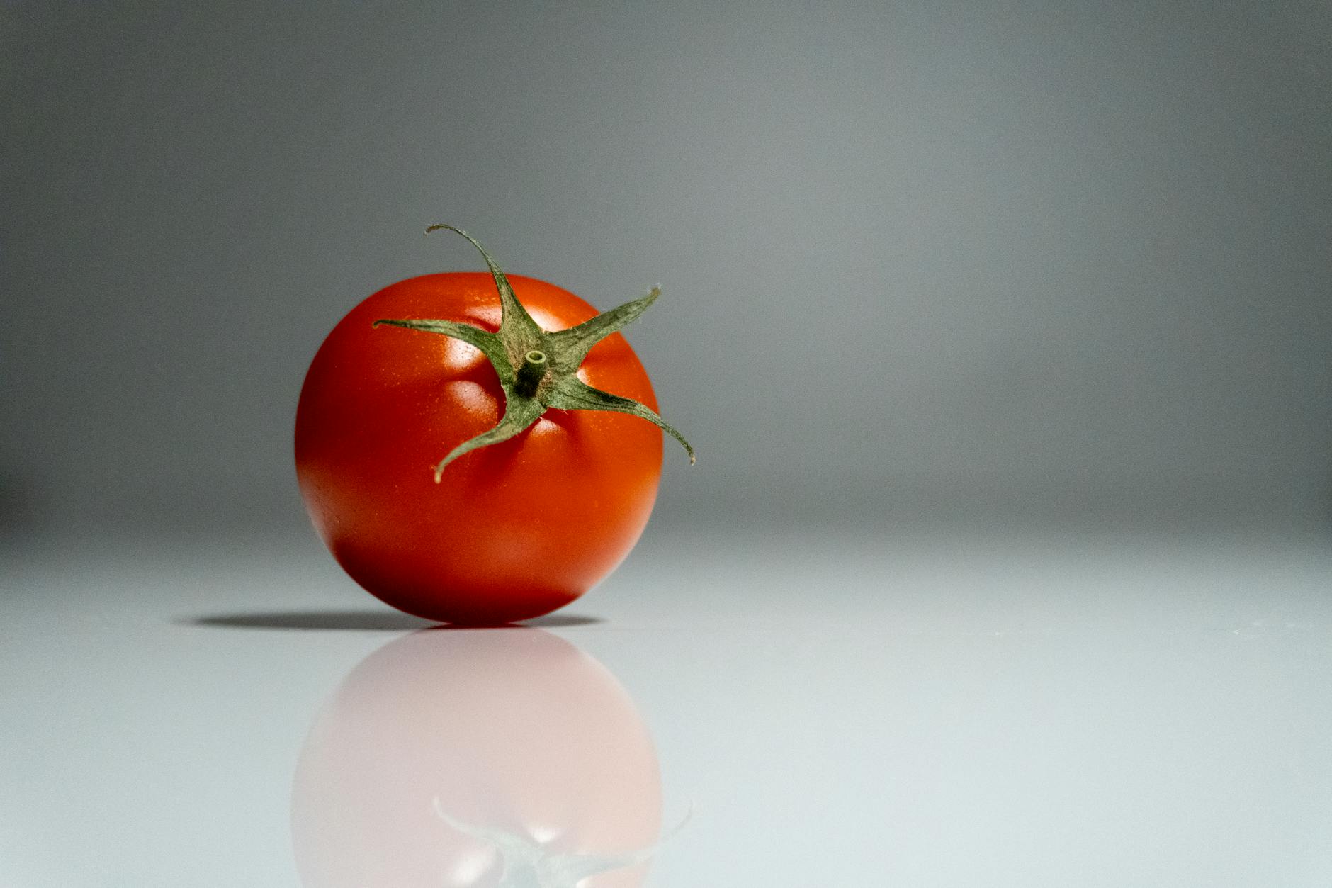 Are Cherry Tomatoes Safe for Cats - Featured image