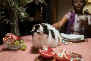 Are Grapes Toxic to Cats - Featured image