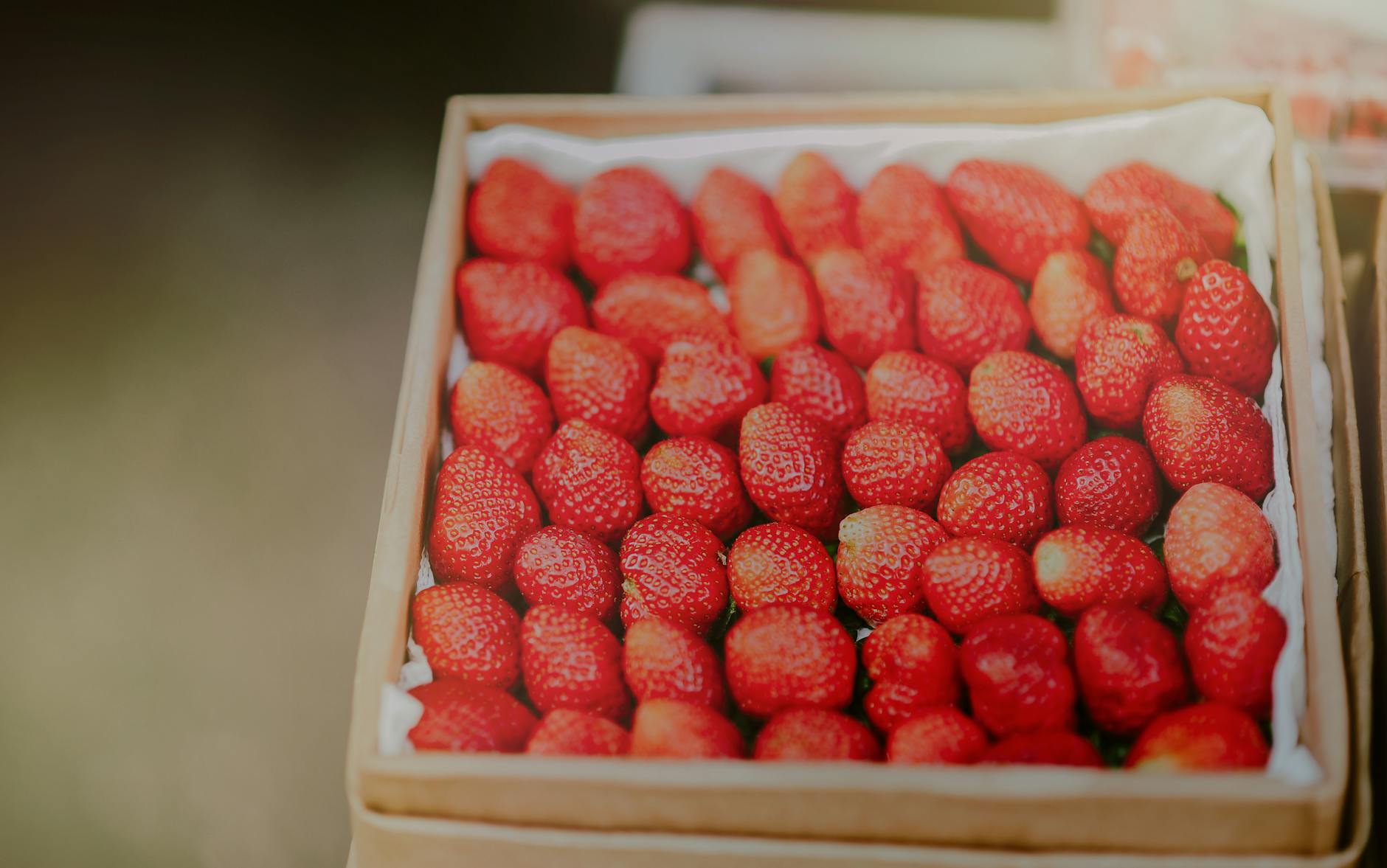 Are Strawberries Toxic to Cats? What the Evidence Actually Shows