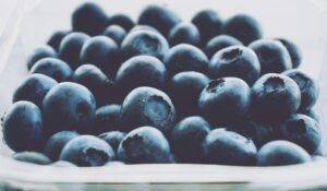 Can Cats Eat Blueberries Safely - Featured image