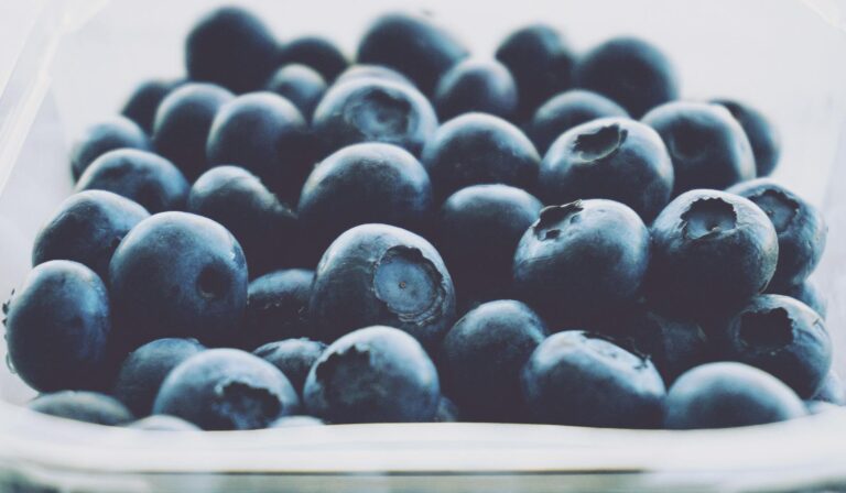 Can Cats Eat Blueberries Safely - Featured image