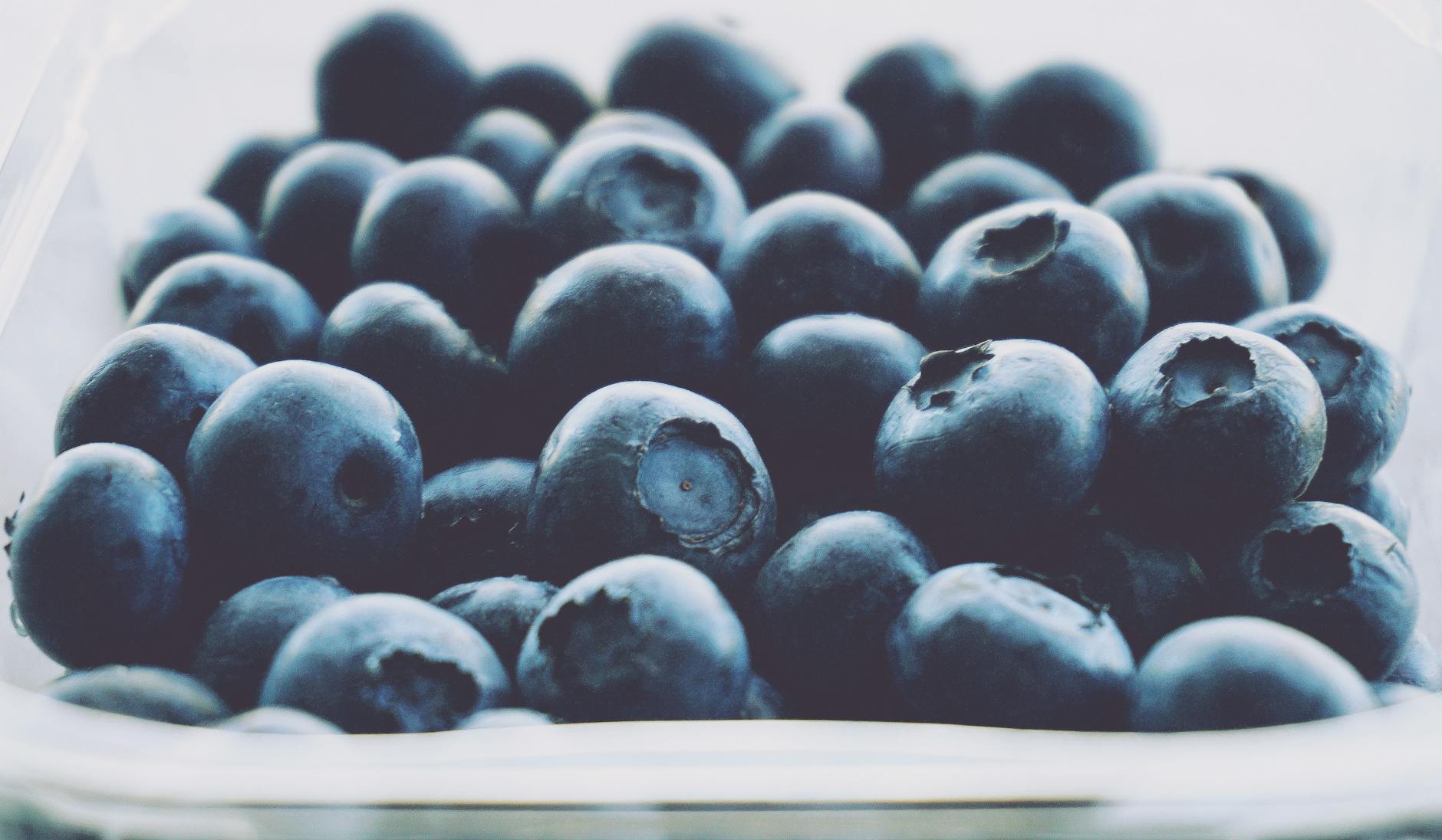 Can Cats Eat Blueberries Safely - Featured image