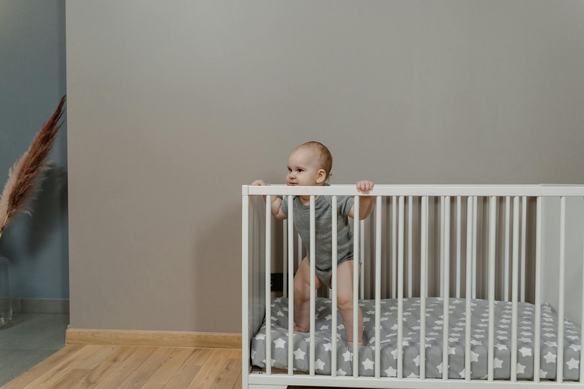 Is Baby Food Safe for Cats to Eat - Featured image