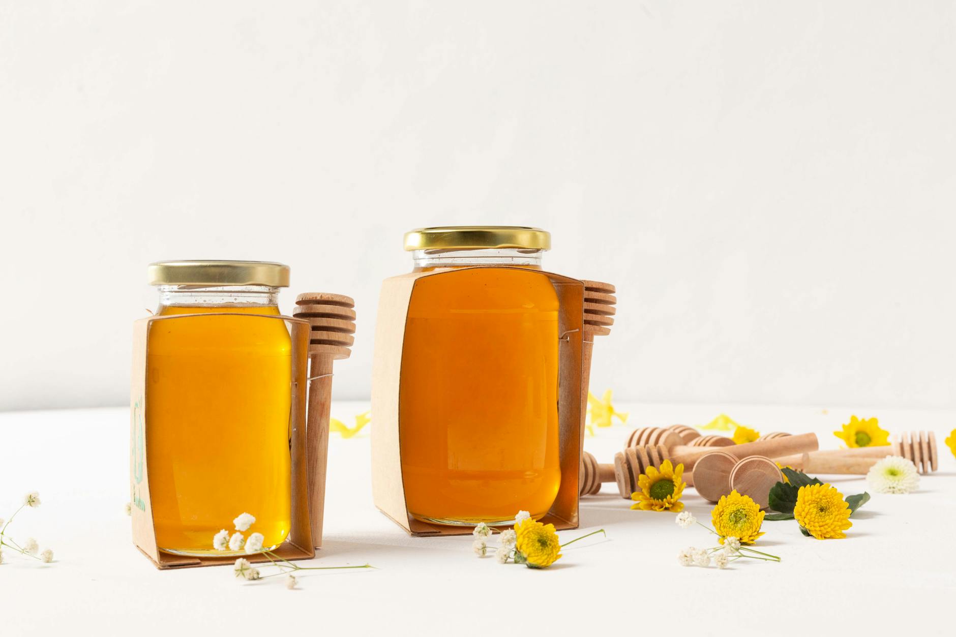 Is Raw Honey or Manuka Honey Any Safer for Cats?