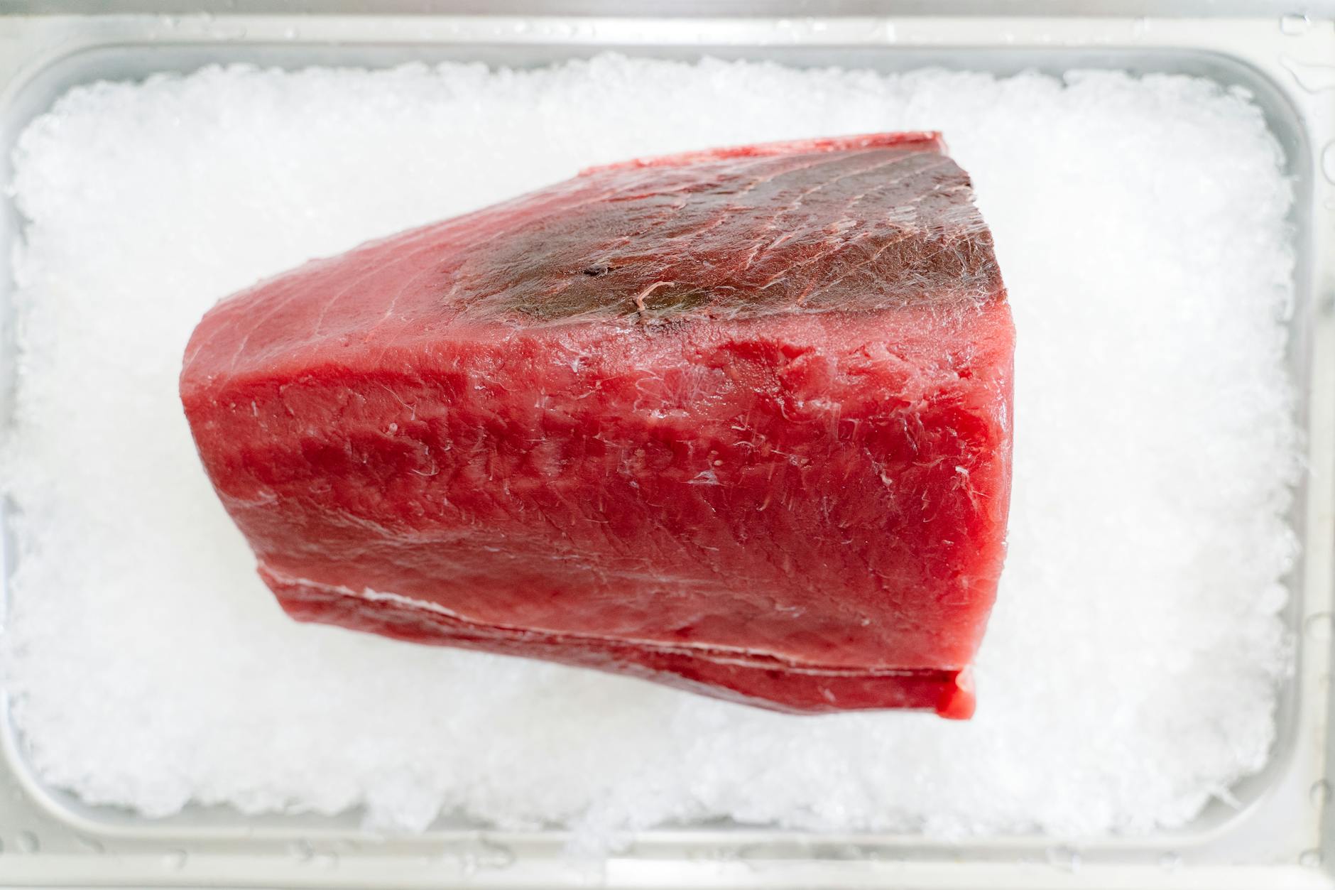Is Tuna Safe for Cats - Featured image