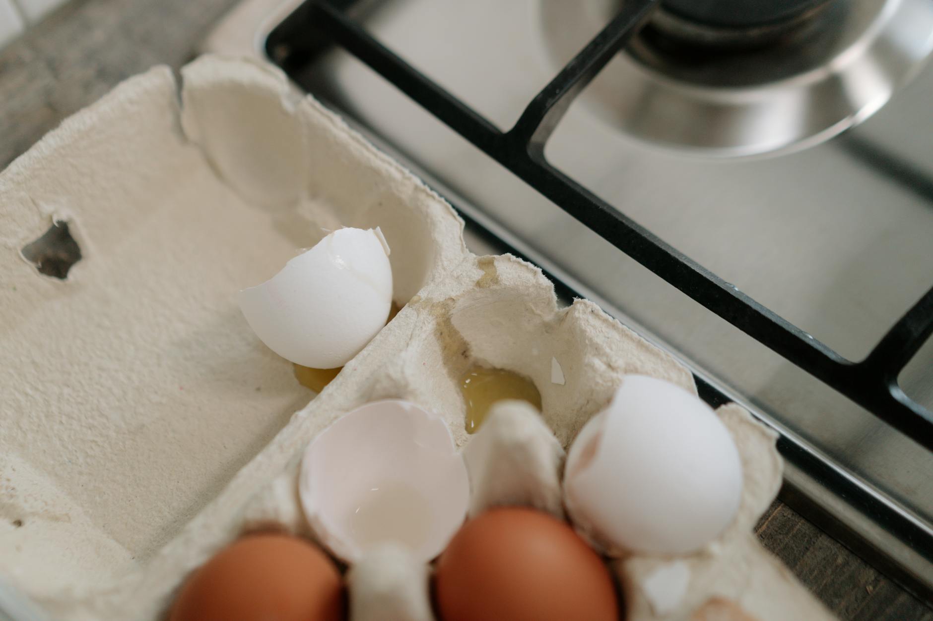 Raw Eggs Versus Cooked Eggs for Cats