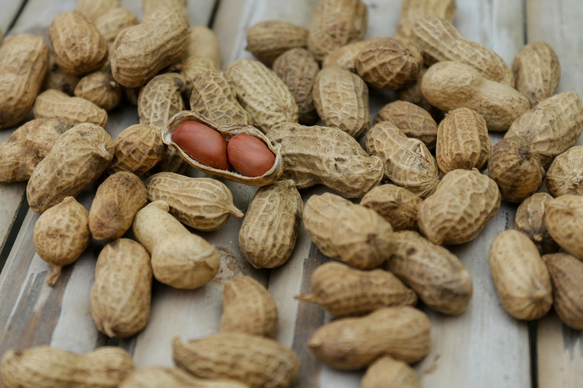 What to Do if Your Cat Already Ate Peanut Butter