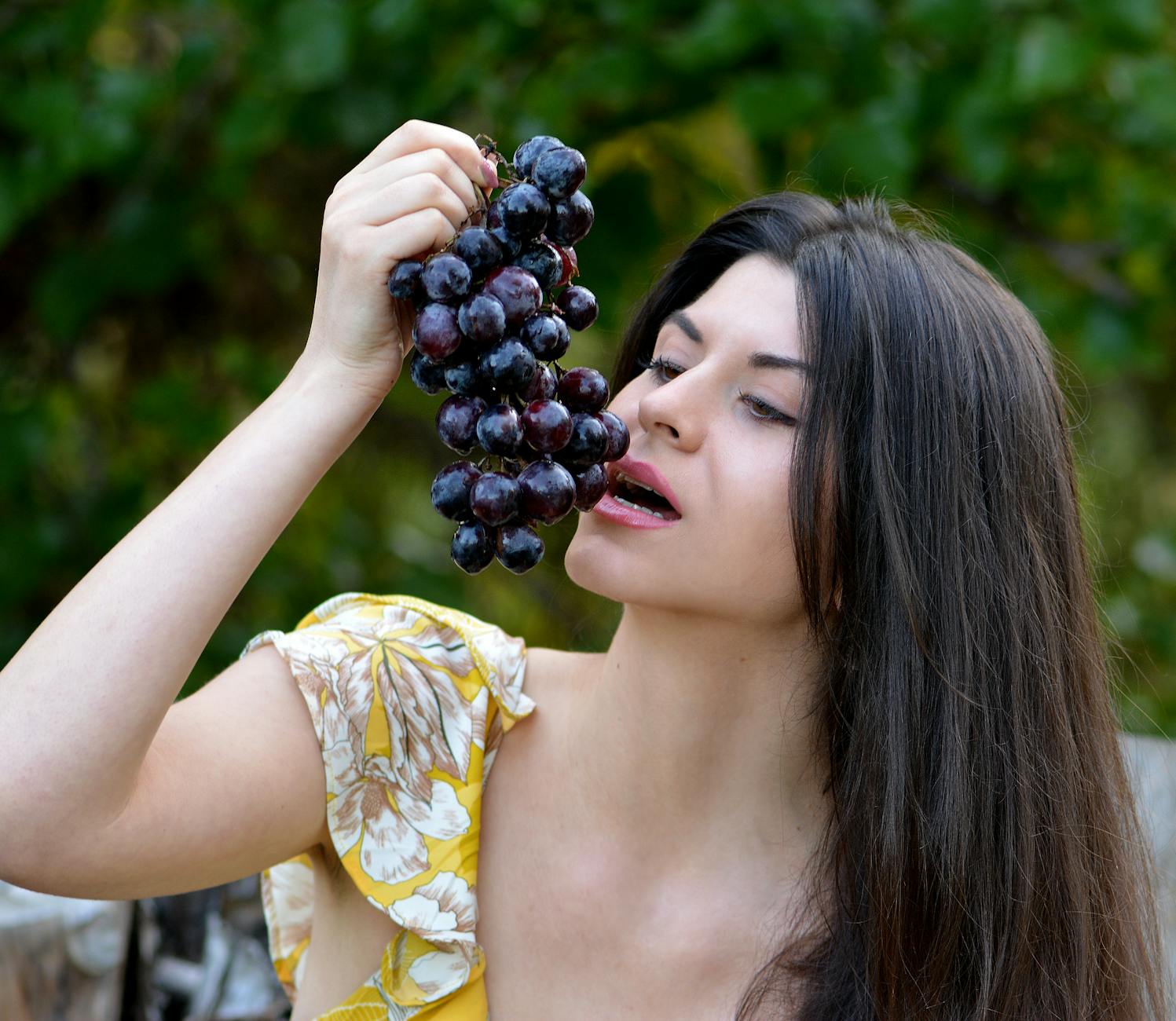 What to Do If Your Cat Eats a Grape