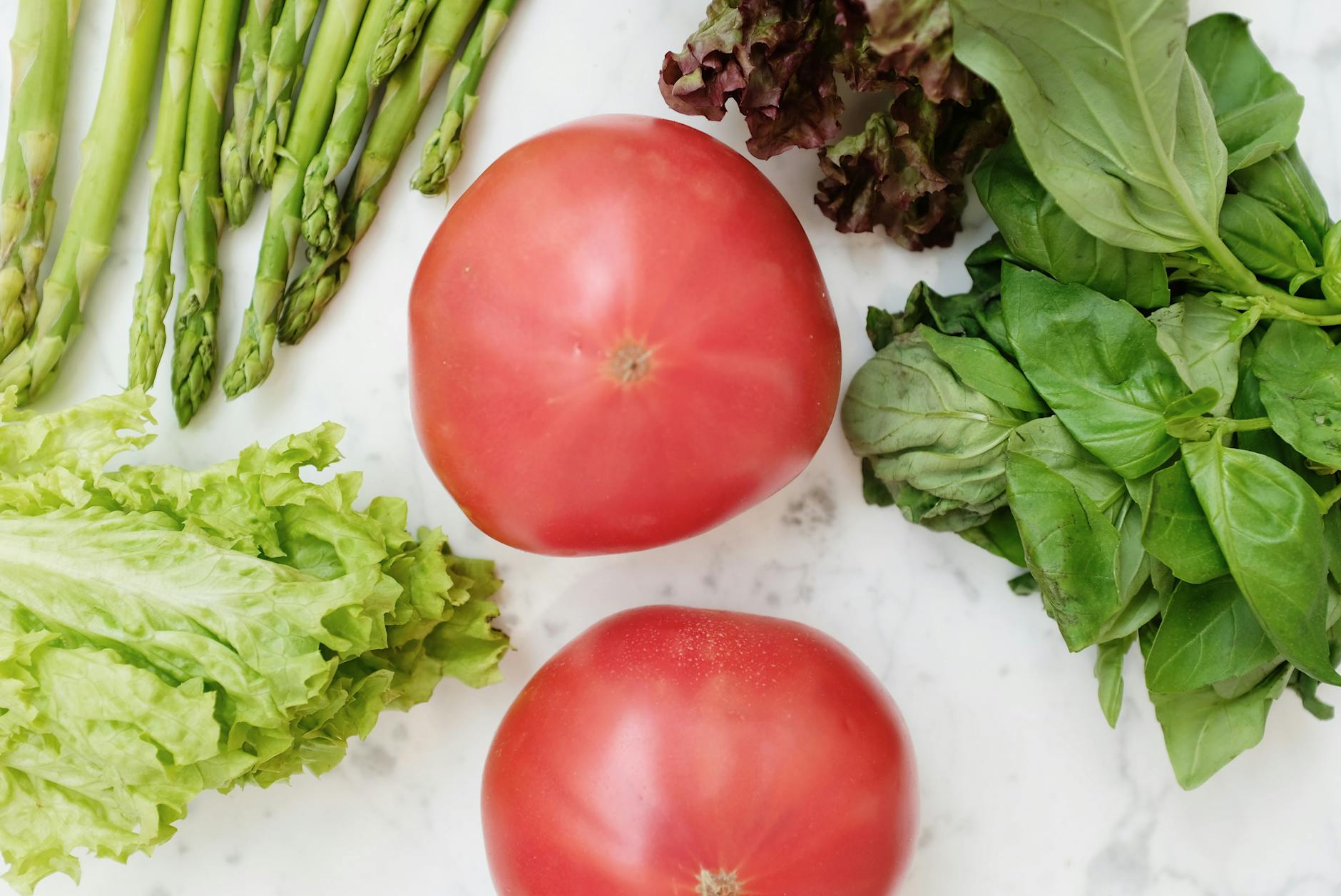 What to Do If Your Cat Eats Green Tomatoes or Tomato Plants