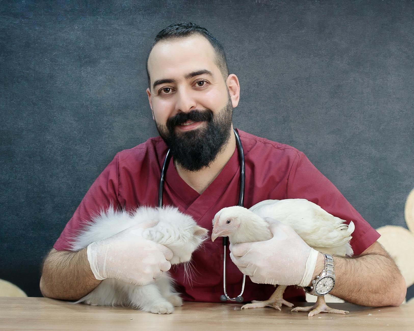 When Veterinarians Might Recommend Dog Food Temporarily