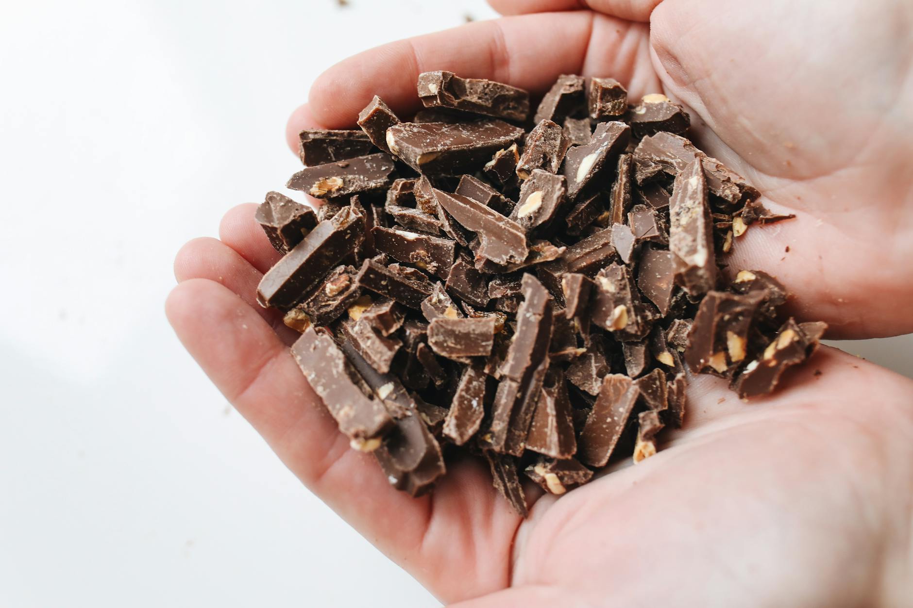Why Is Chocolate So Dangerous for Cats?