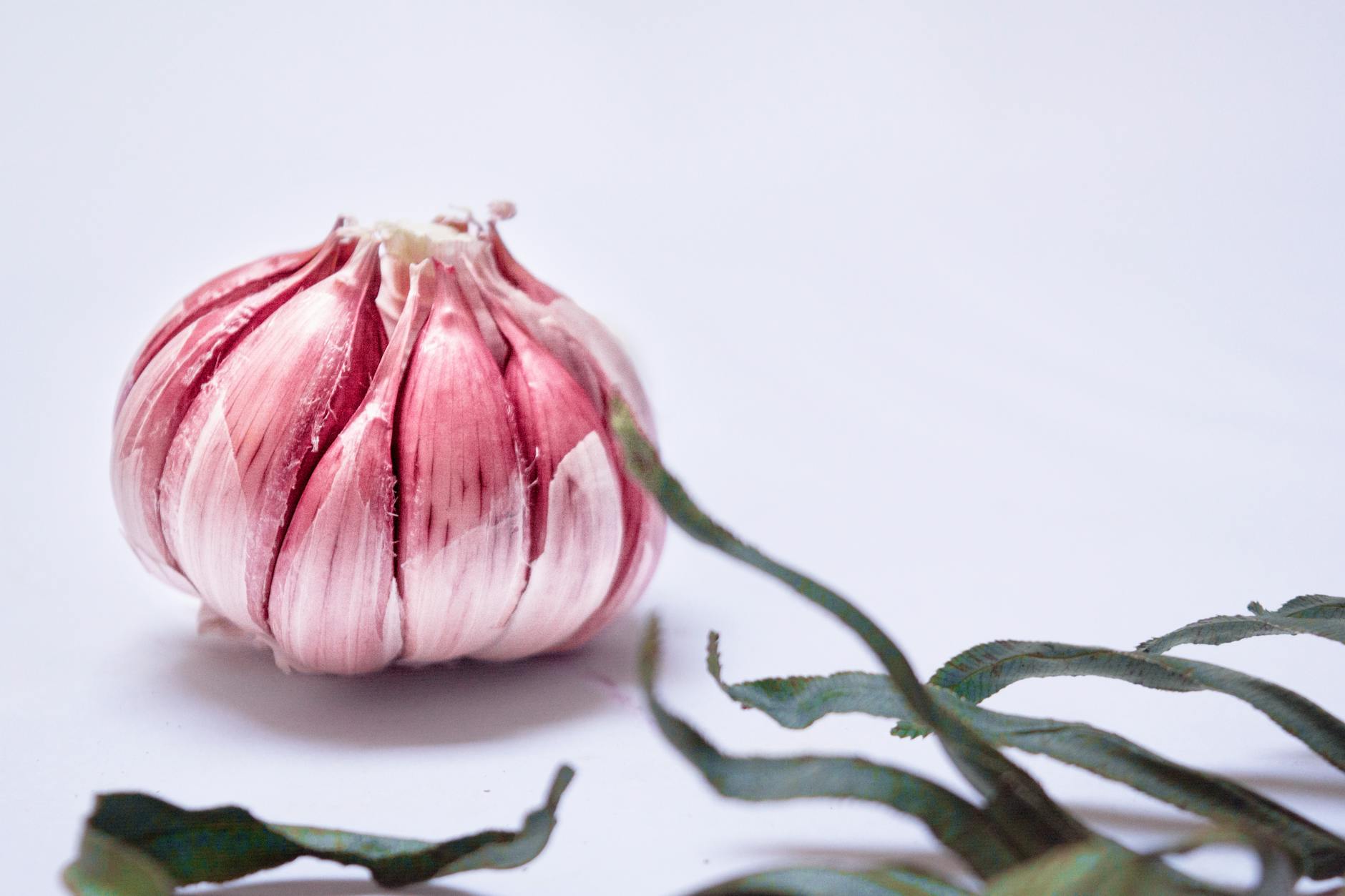 Why Is Garlic Toxic to Cats?