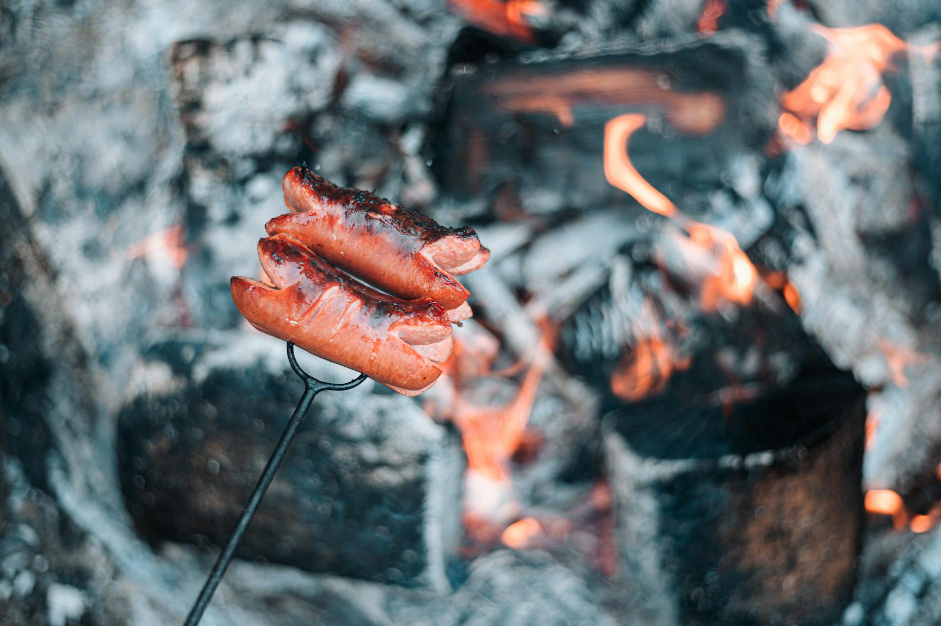 Why Is Sausage Dangerous for Cats to Eat?