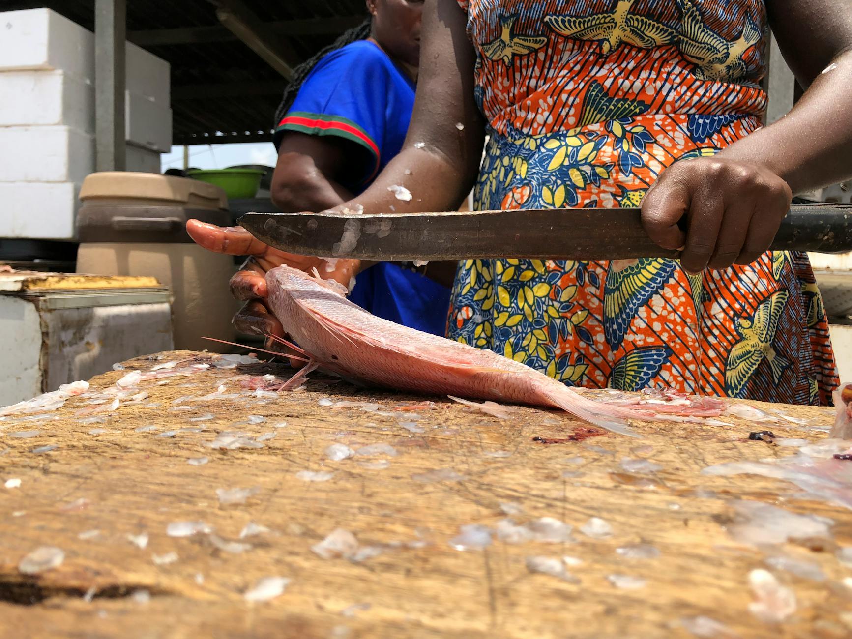 Why Raw Fish Poses Greater Risks Than Cooked Fish