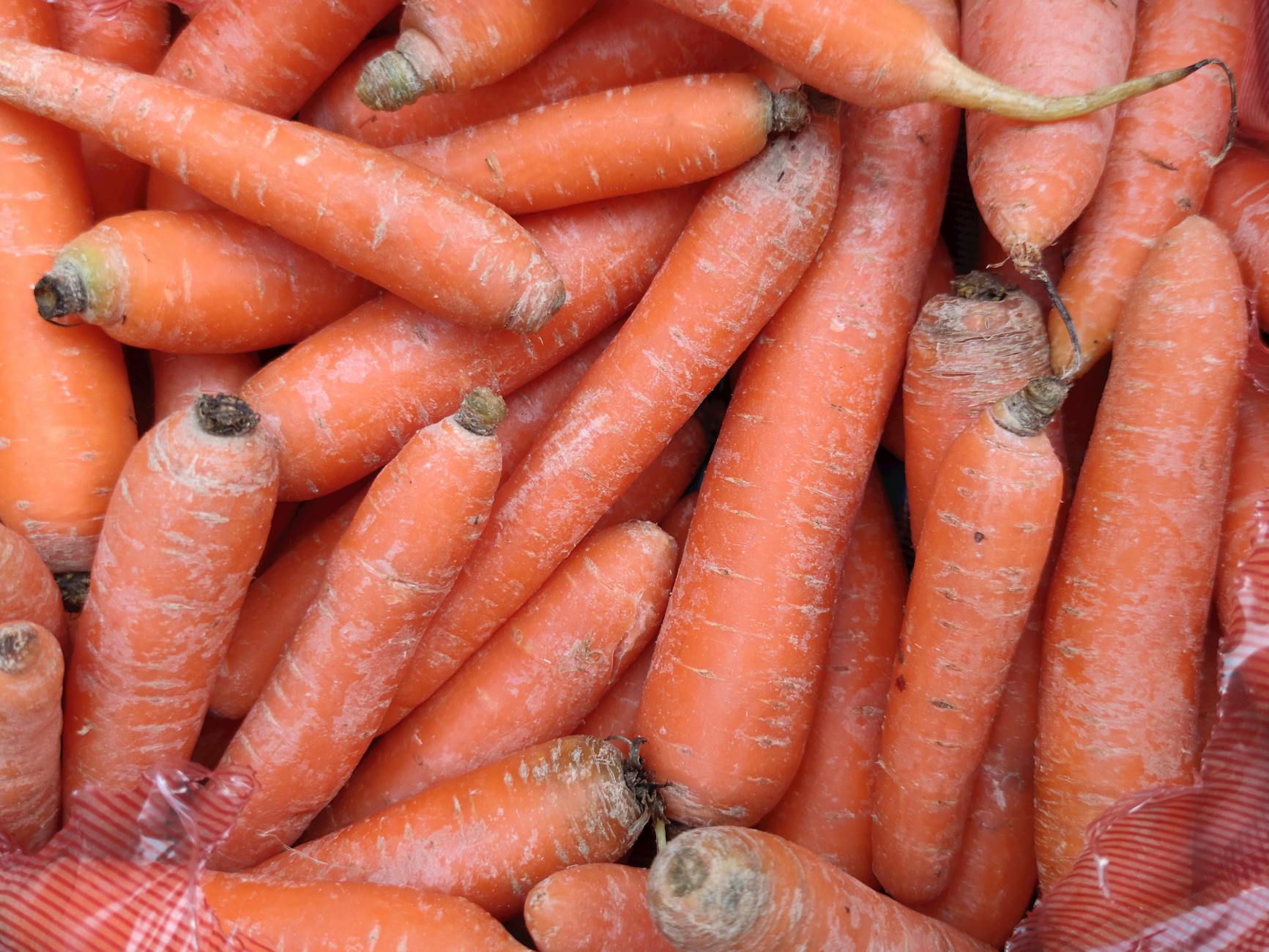 Are Carrots Safe for Cats to Eat Raw or Cooked?