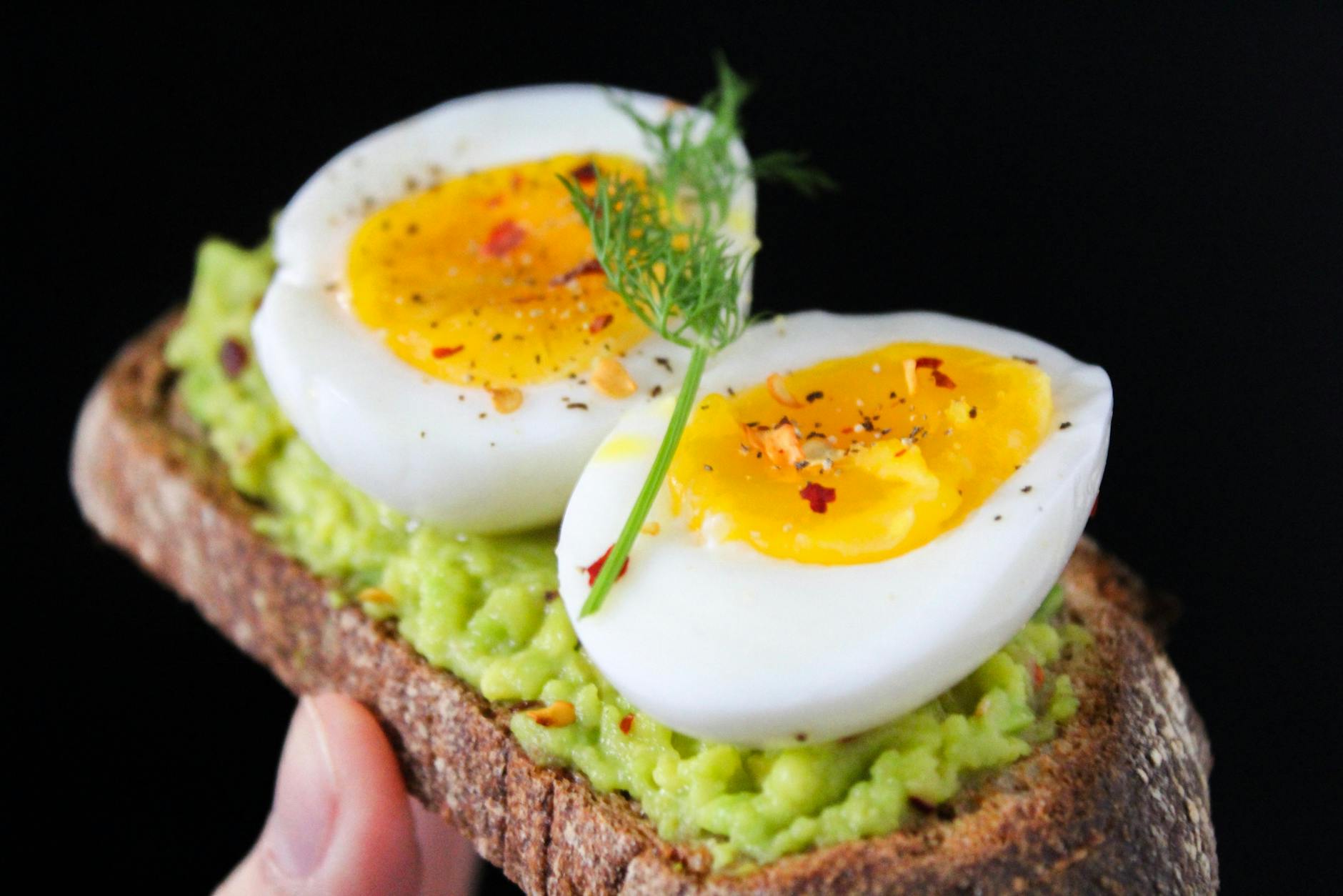 Can Cats Eat Avocado Safely - Featured image