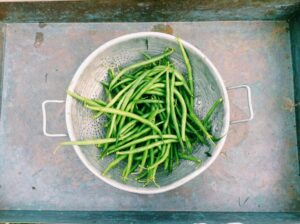 Can Cats Eat Green Beans Safely - Featured image