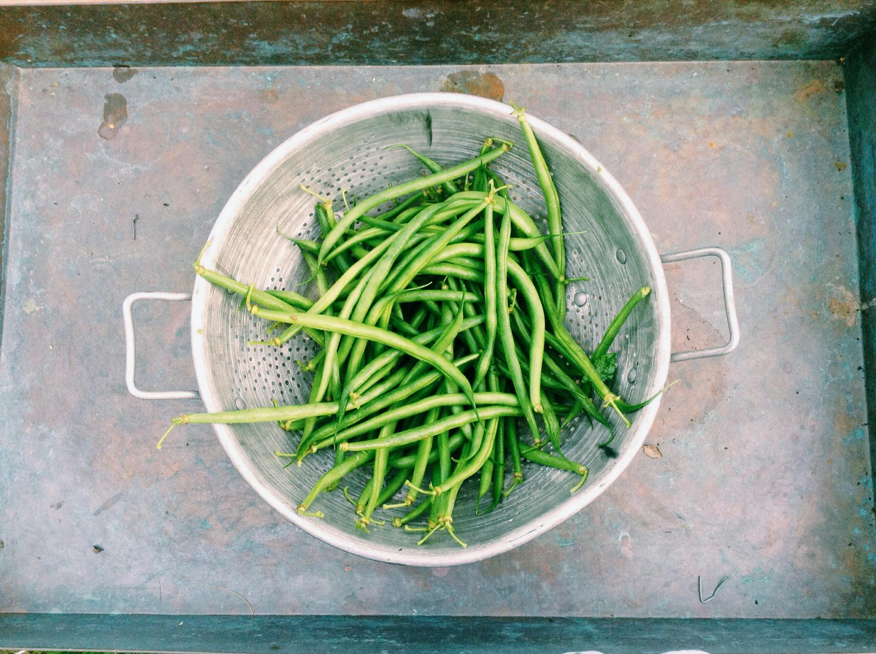 Can Cats Eat Green Beans Safely - Featured image