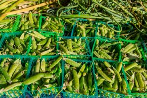 Can Cats Eat Peas Safely - Featured image