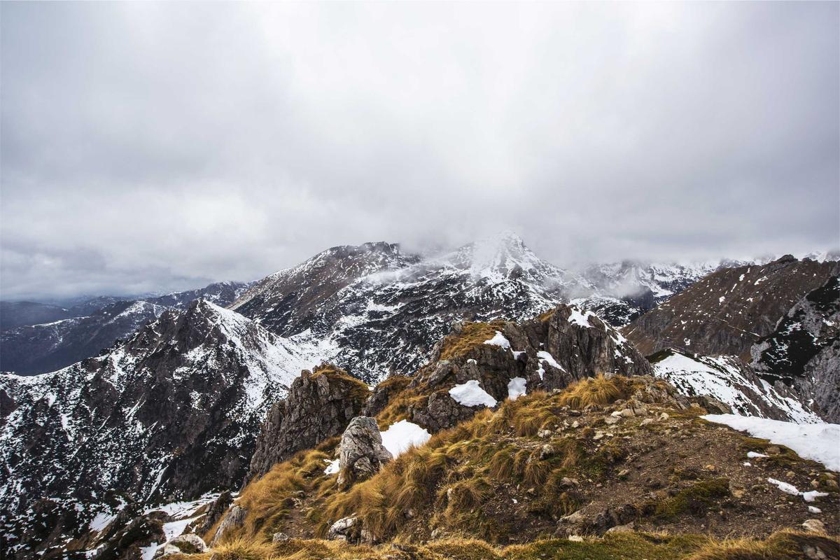 How Did the Himalayan Breed Originate and What Makes It Distinct?