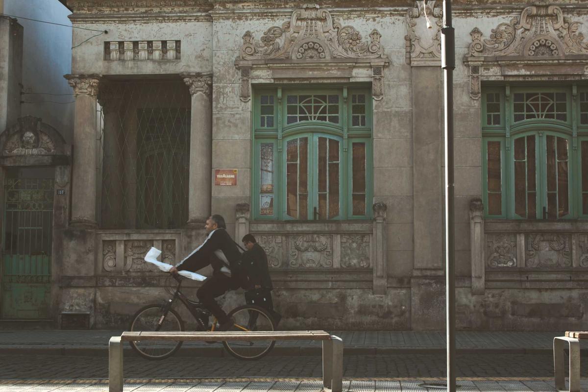 How Did the Tennessee Rex Breed Originate and Gain Recognition?