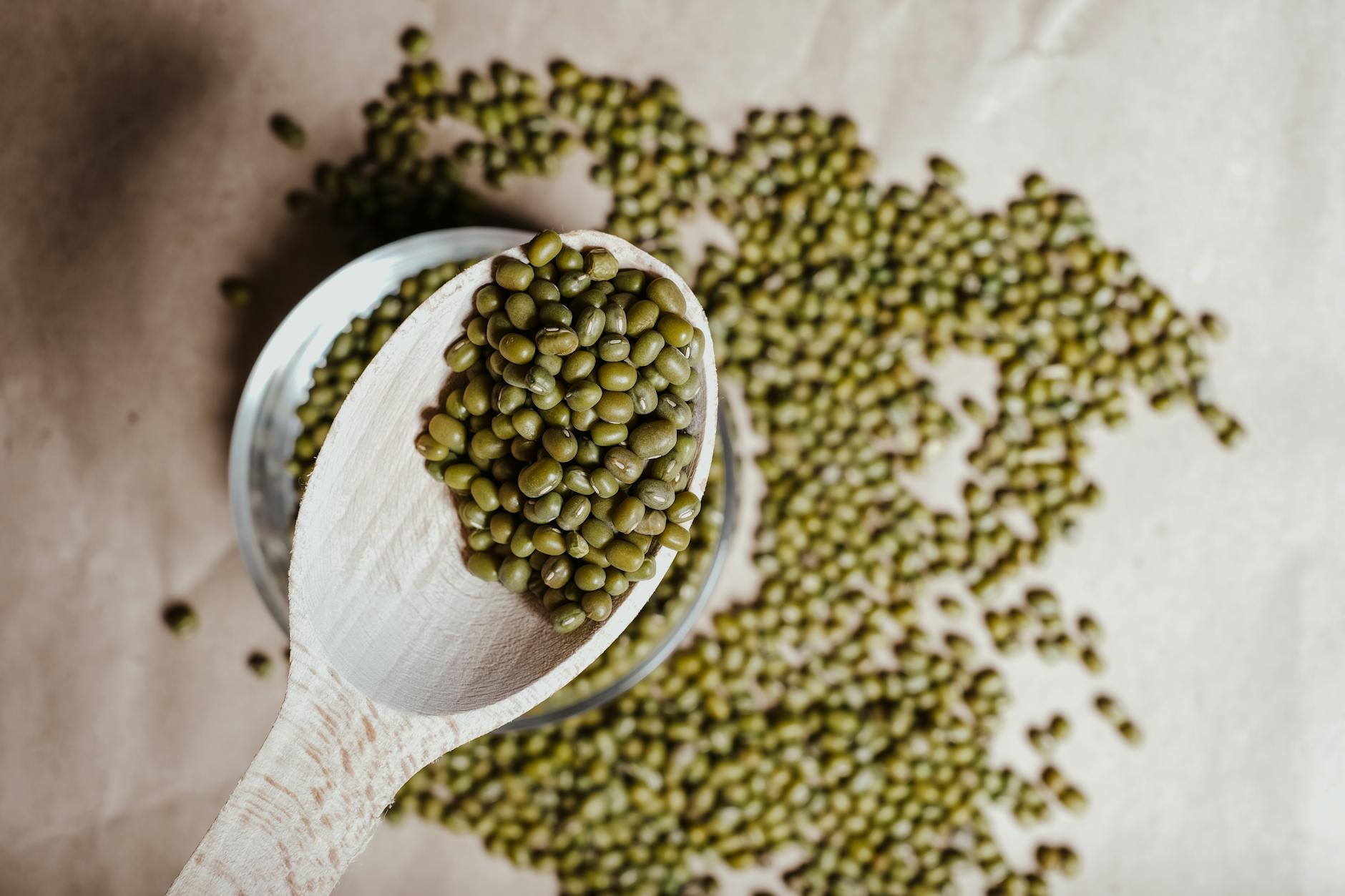 How Much Green Bean Is Too Much for a Cat?