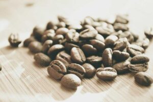 Is It Safe for Cats to Eat Freeze Dried Blueberries - Featured image