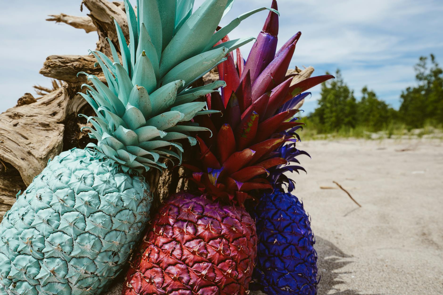 Parts of the Pineapple That Are Dangerous for Cats