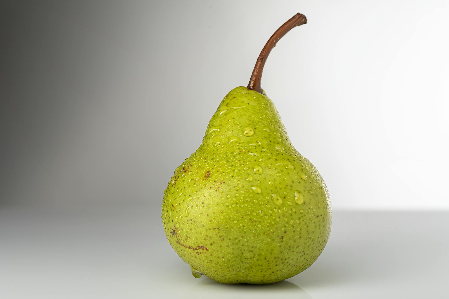 Recognizing Symptoms of Avocado Toxicity in Cats